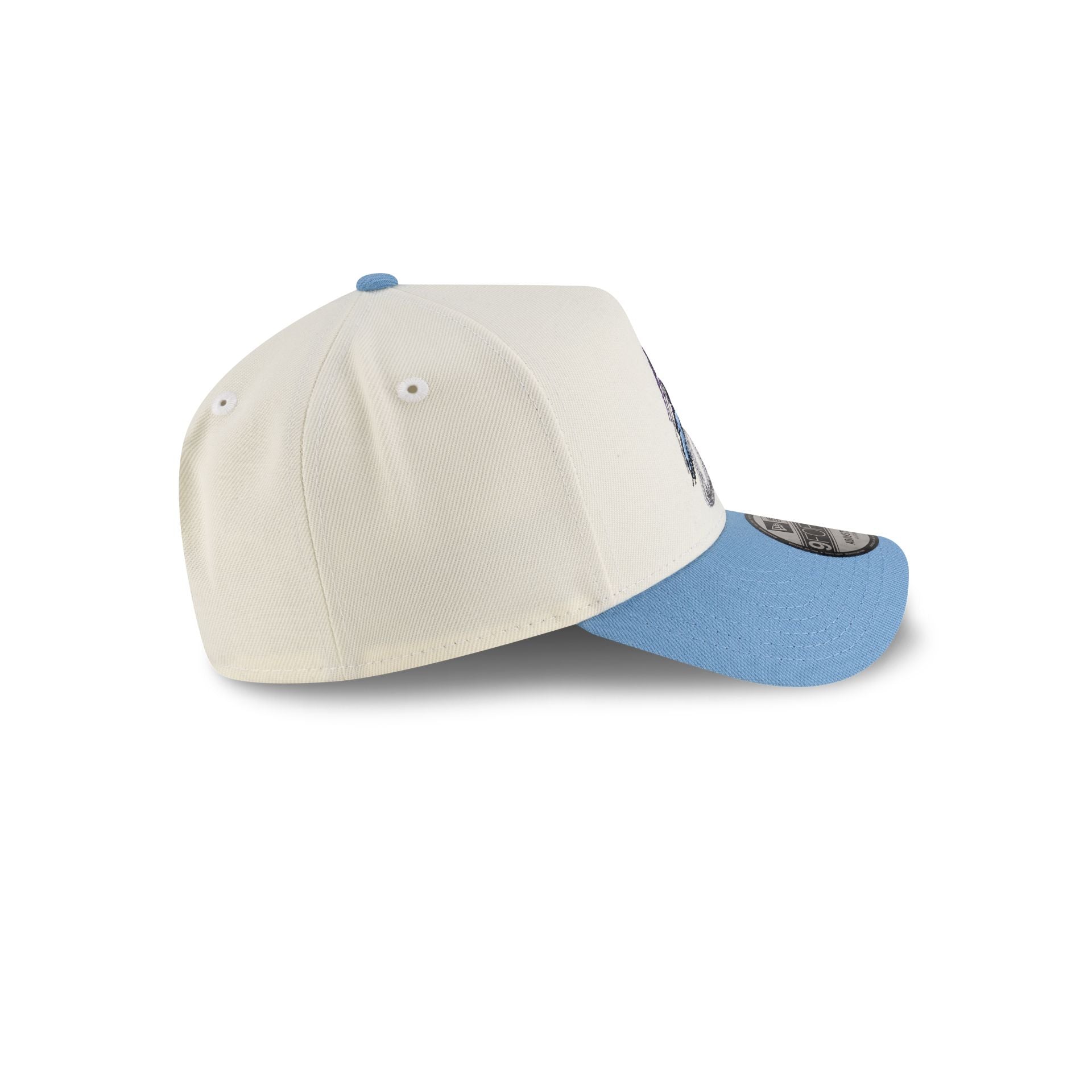 Looney Tunes Roadrunner 9FORTY A-Frame Snapback Hat