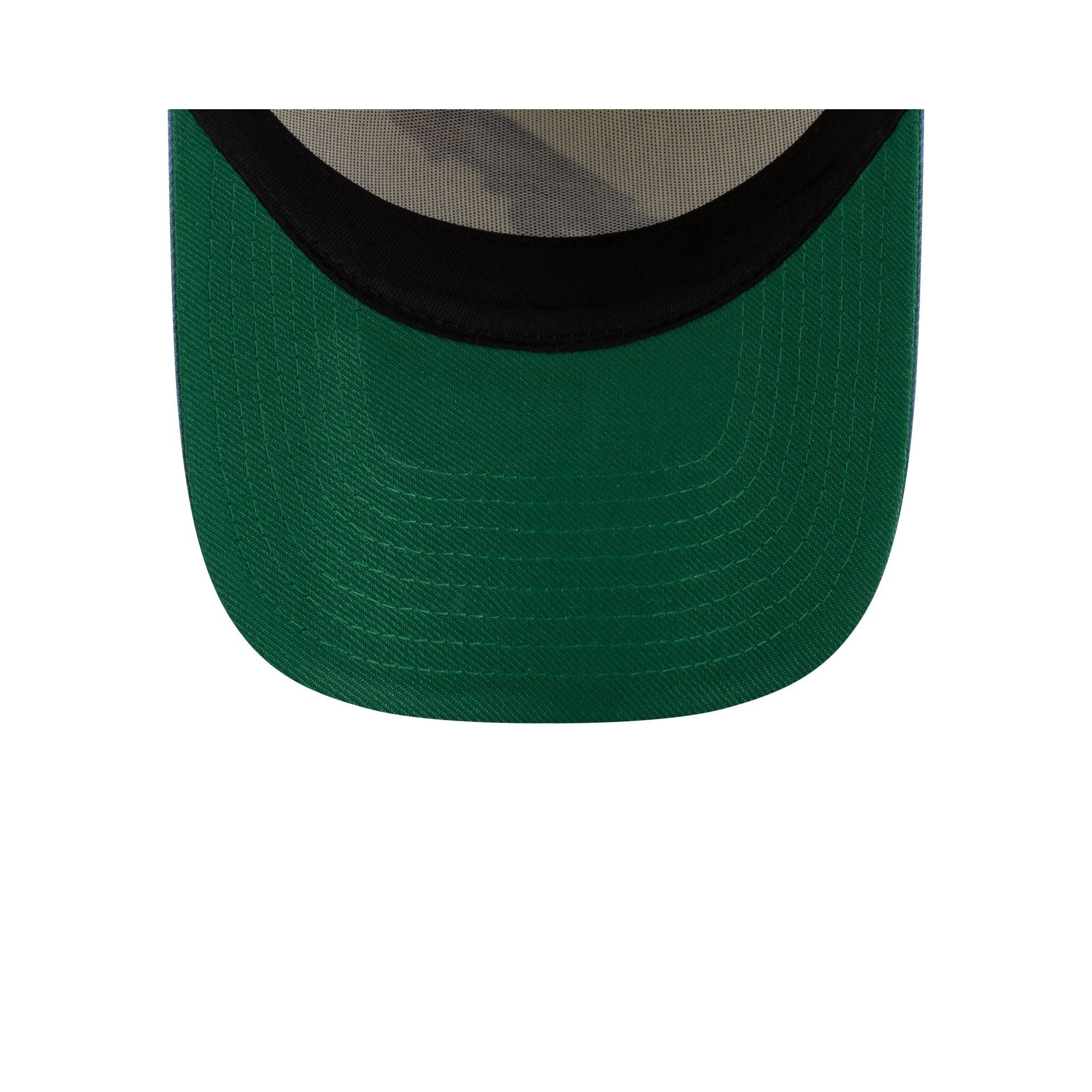 Looney Tunes Roadrunner 9FORTY A-Frame Snapback Hat