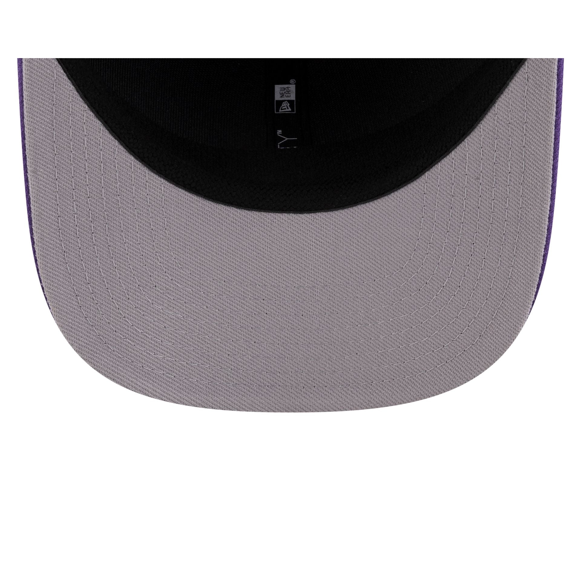 Looney Tunes Road Runner 9SEVENTY Stretch-Snap Hat