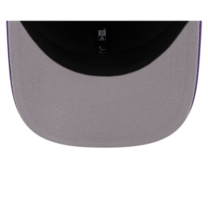 Looney Tunes Road Runner 9SEVENTY Stretch-Snap Hat