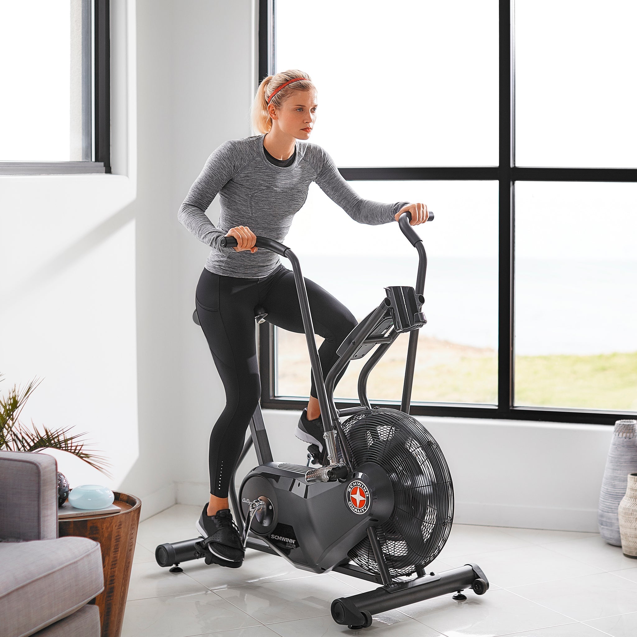 Schwinn AD6 Airdyne Air Bike