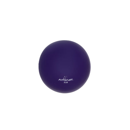 Pilates Weighted Toning Ball - 2lbs